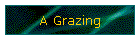 A Grazing
